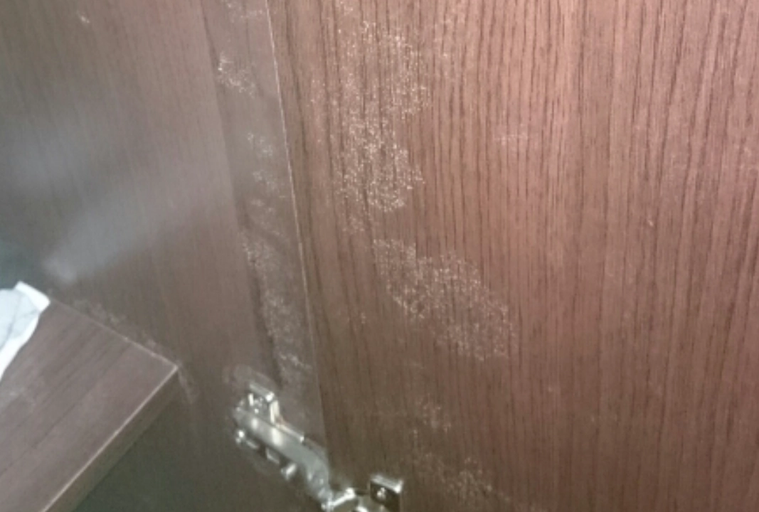 衣櫃 發霉 處理 衣櫃 發霉 處理