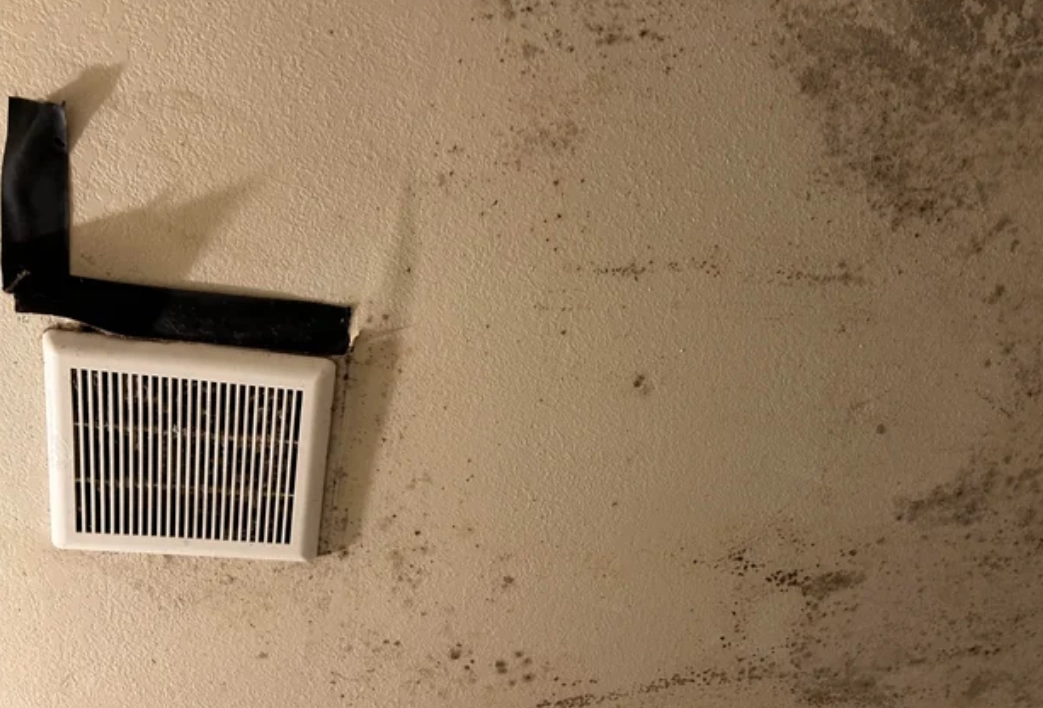 漂白水除霉比例 漂白水除霉比例