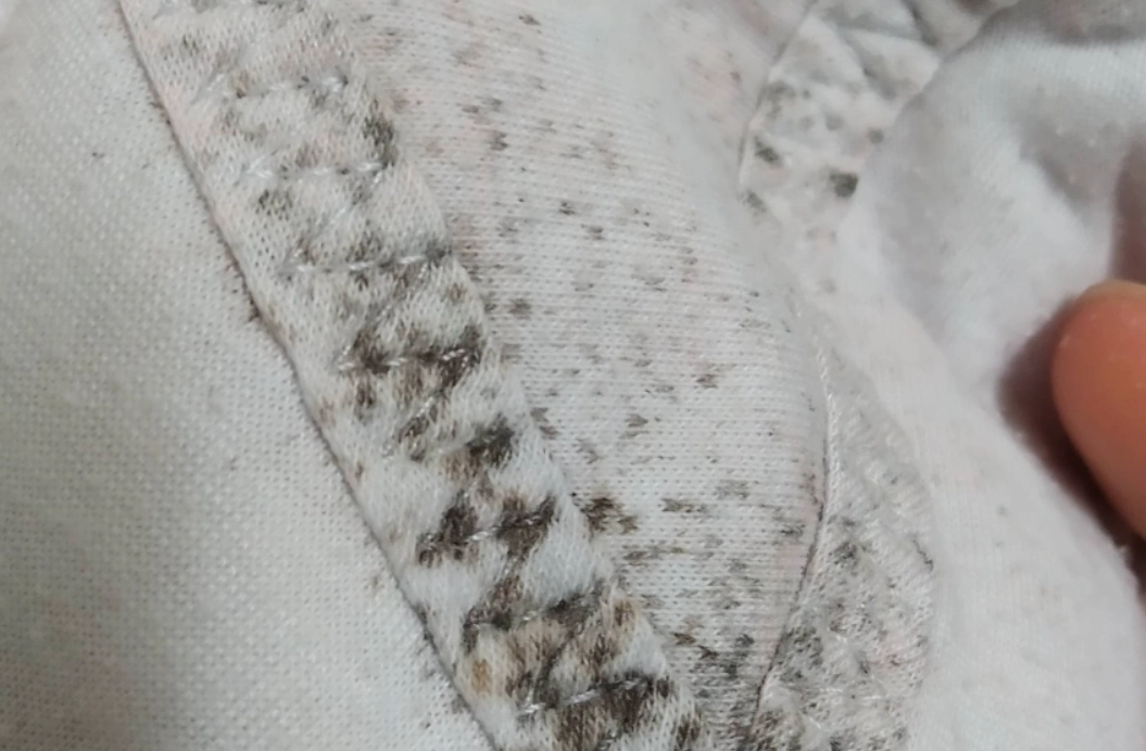 男生內褲清潔 男生內褲清潔