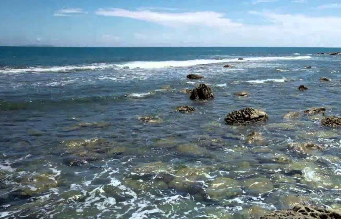 海水漲潮夢境心理學 海水漲潮夢境心理學