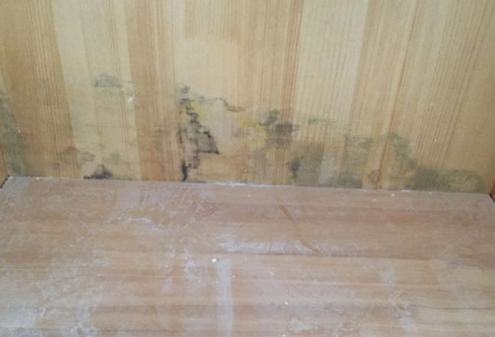 衣櫃 發霉 處理 衣櫃 發霉 處理