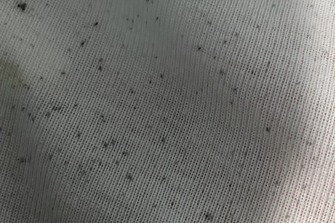 男生內褲清潔 男生內褲清潔