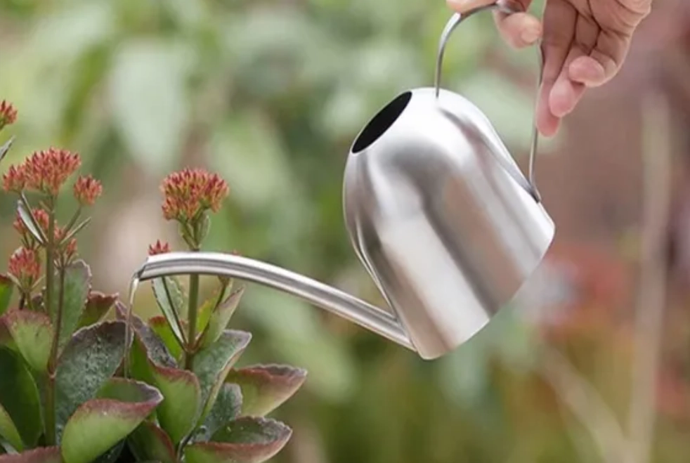 植物澆水方法 植物澆水方法