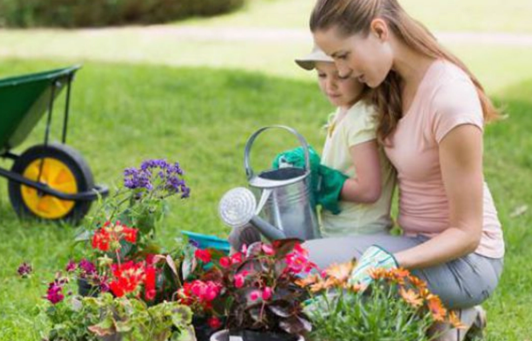 植物澆水方法 植物澆水方法