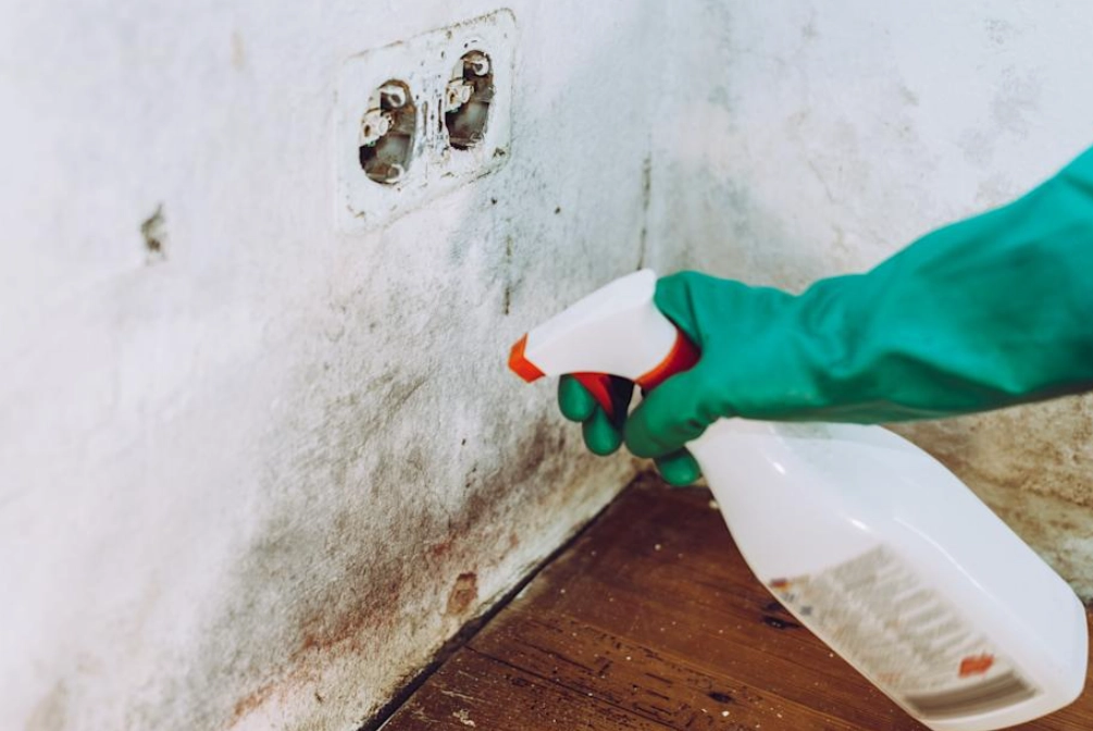 漂白水除霉方法