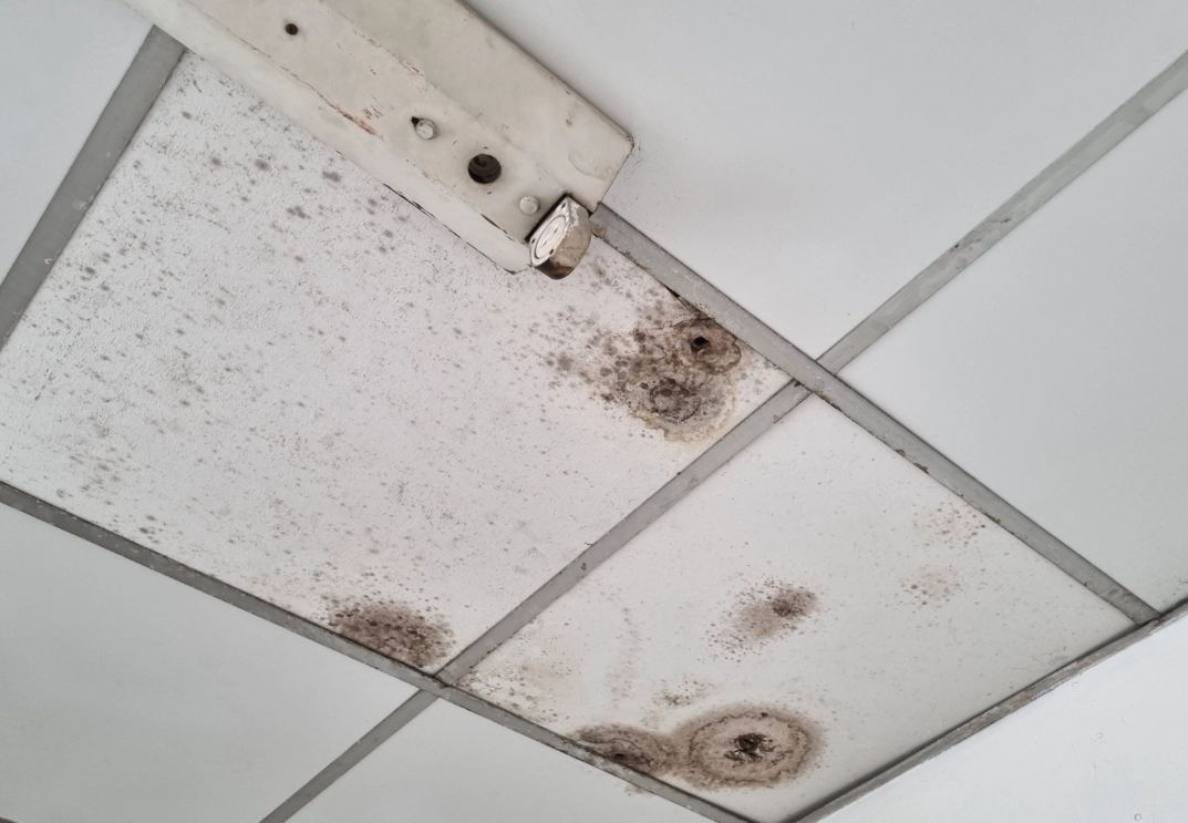 漂白水除霉比例 漂白水除霉比例