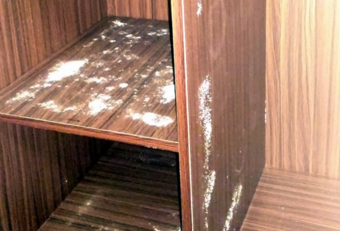 衣櫃 除霉 方法 衣櫃 除霉 方法