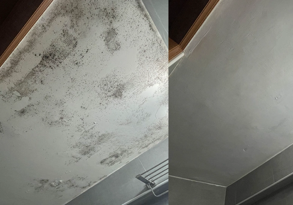 浴室天花板發霉 浴室天花板發霉