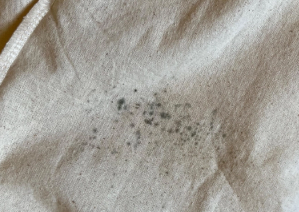 衣物發霉處理 衣物發霉處理