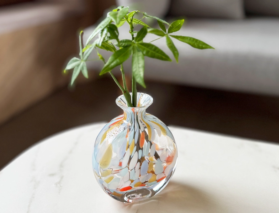 水耕 發財樹 方法