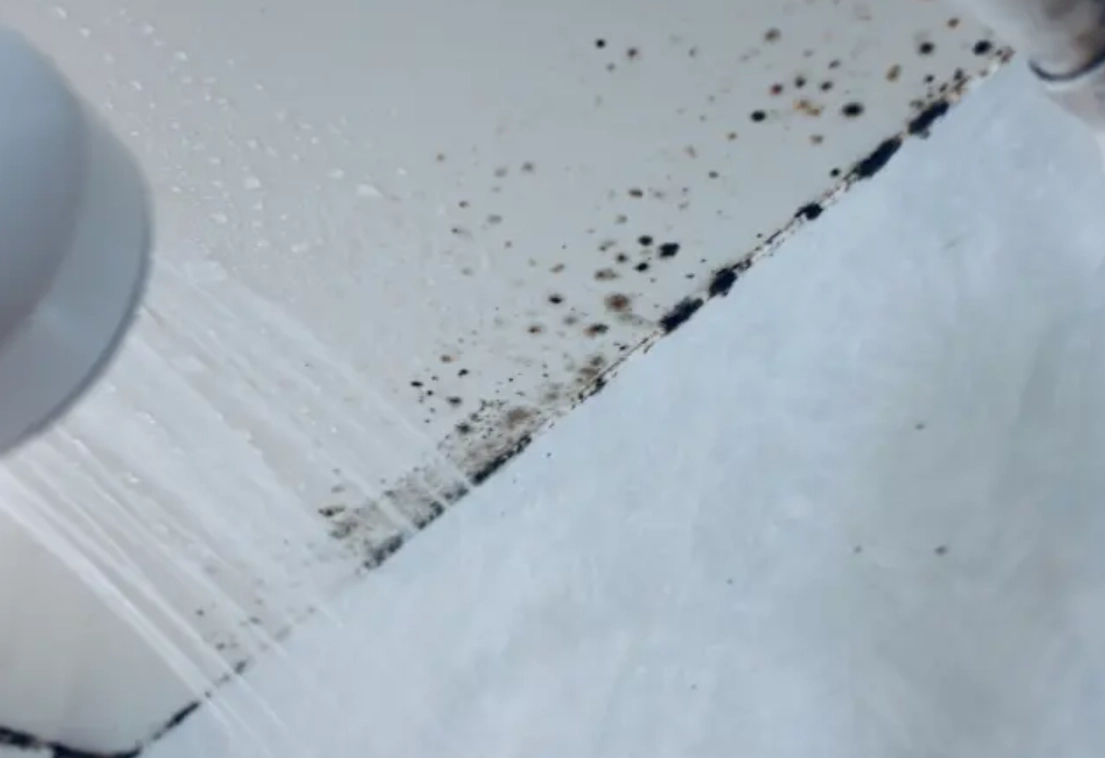 浴室天花板發霉 浴室天花板發霉