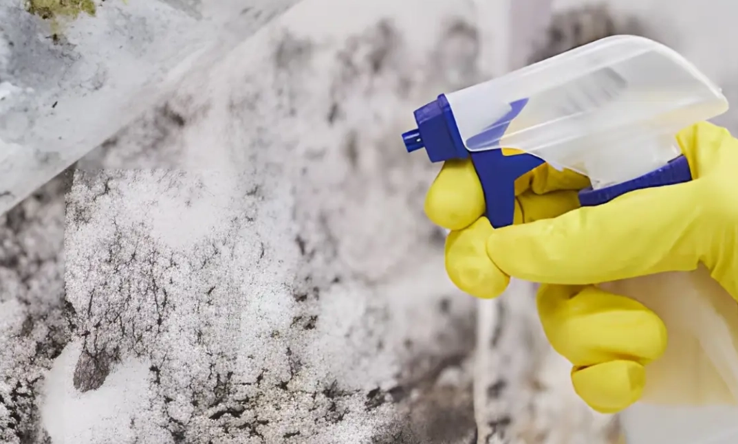 牆壁除霉DIY