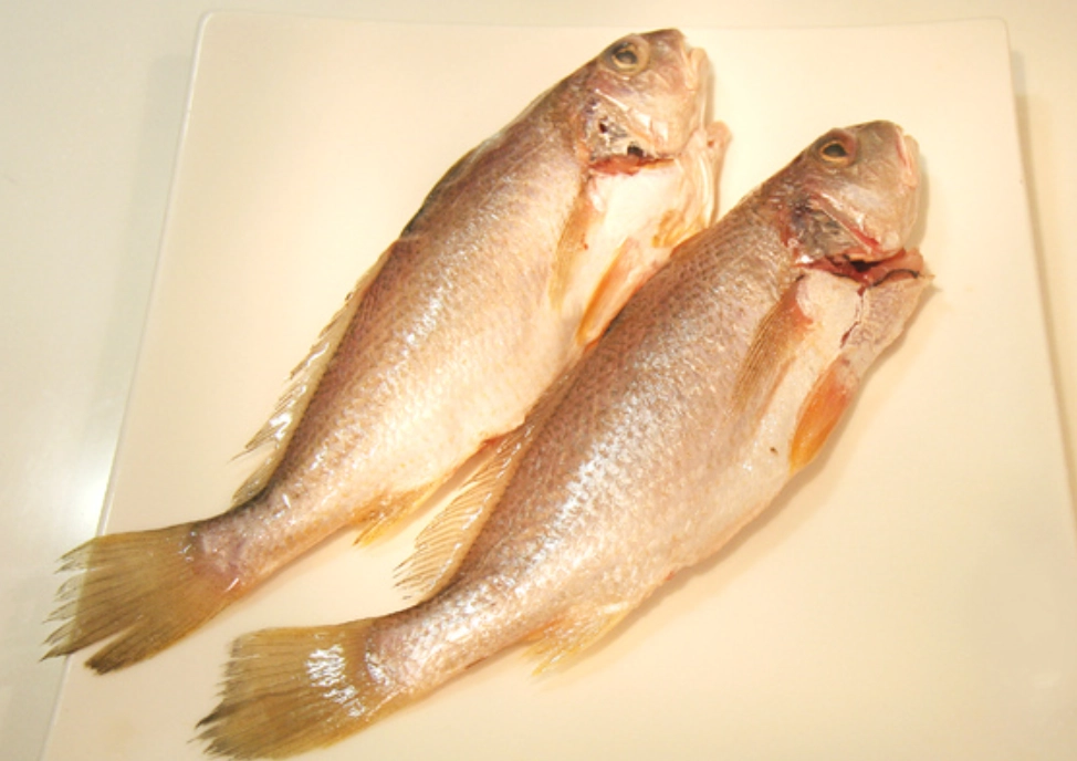 夢見捕魚 夢見捕魚