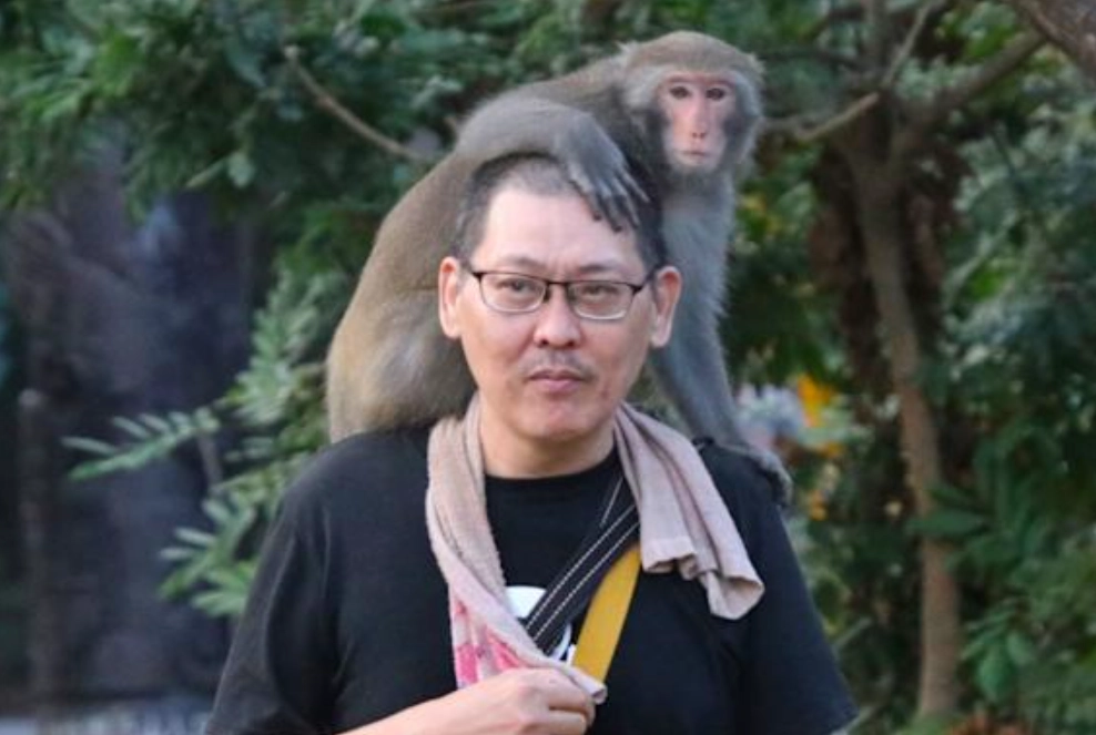 夢境解析 心理 夢境解析 心理