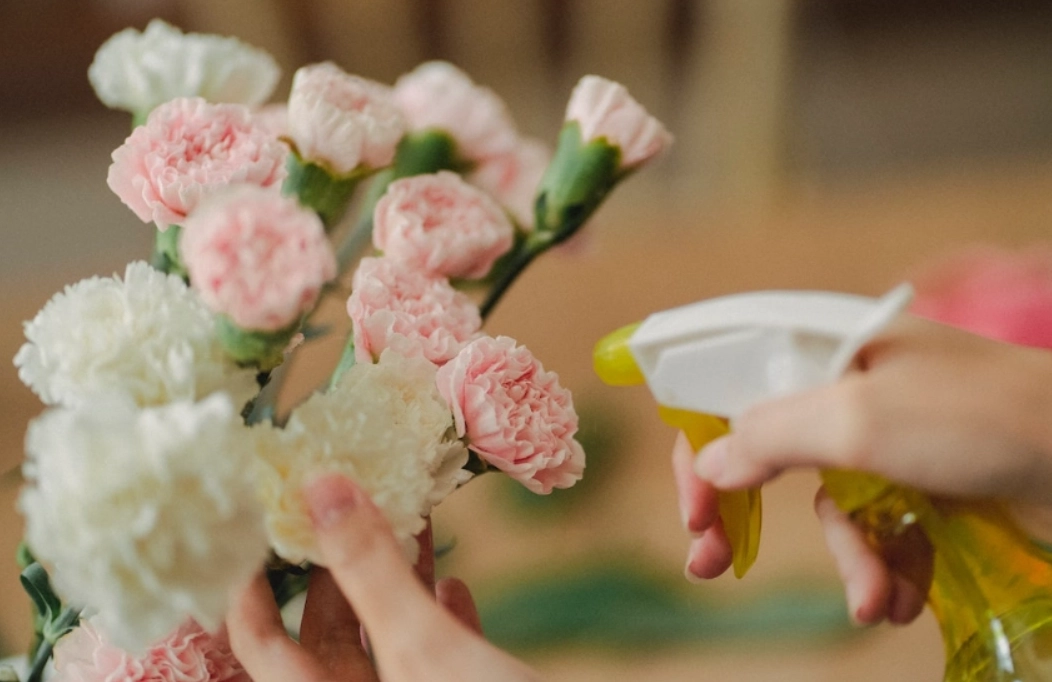 鮮花保鮮劑推薦