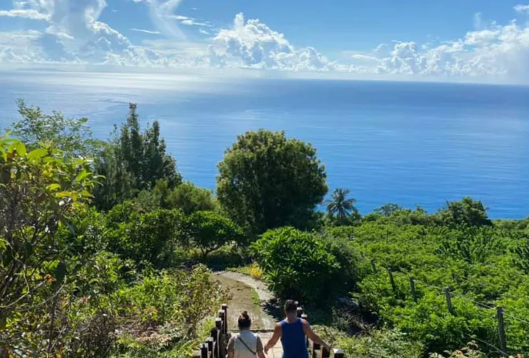 金崙旅遊 金崙旅遊