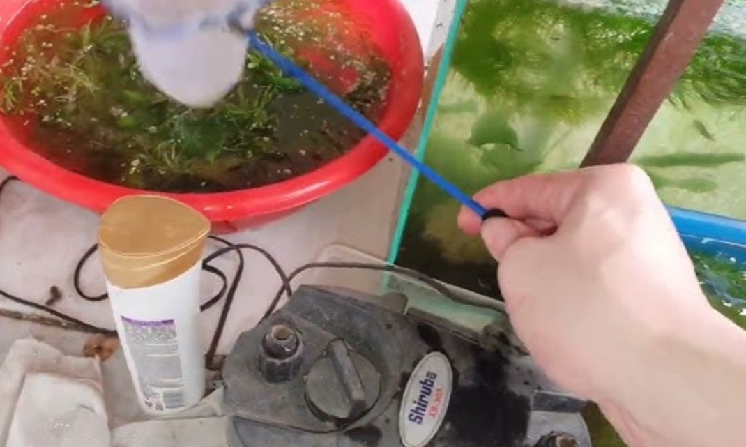 魚缸換水 夢境解析