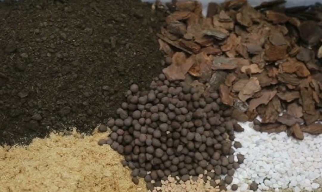 蘭花土壤 蘭花土壤