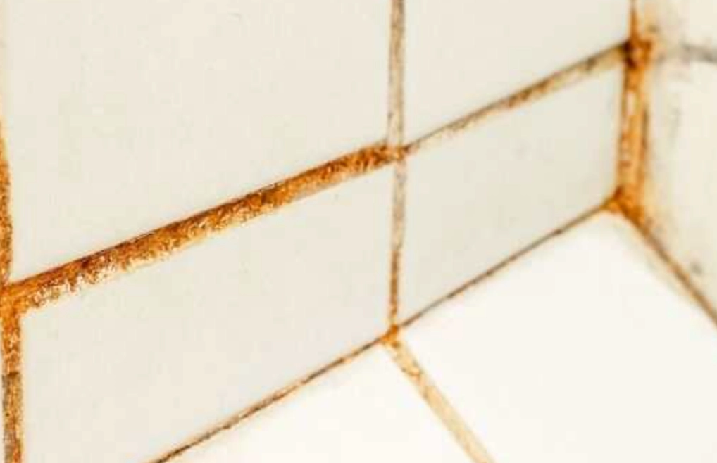 浴室紅色黴菌去除 浴室紅色黴菌去除