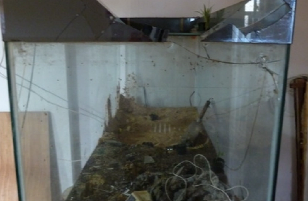 魚缸破掉夢境解析