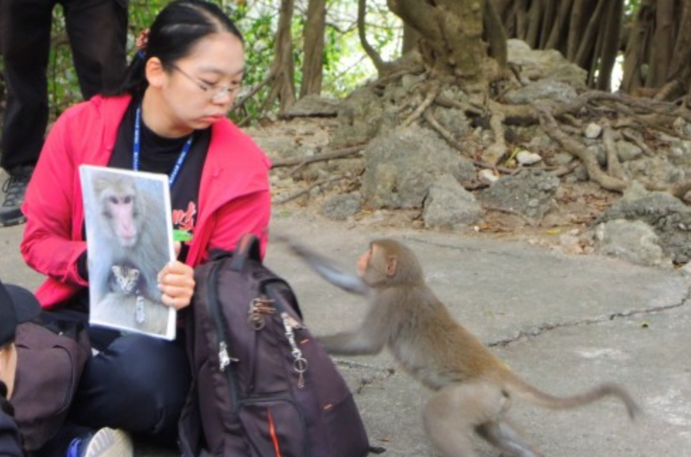 夢到猴子攻擊 解夢 夢到猴子攻擊 解夢