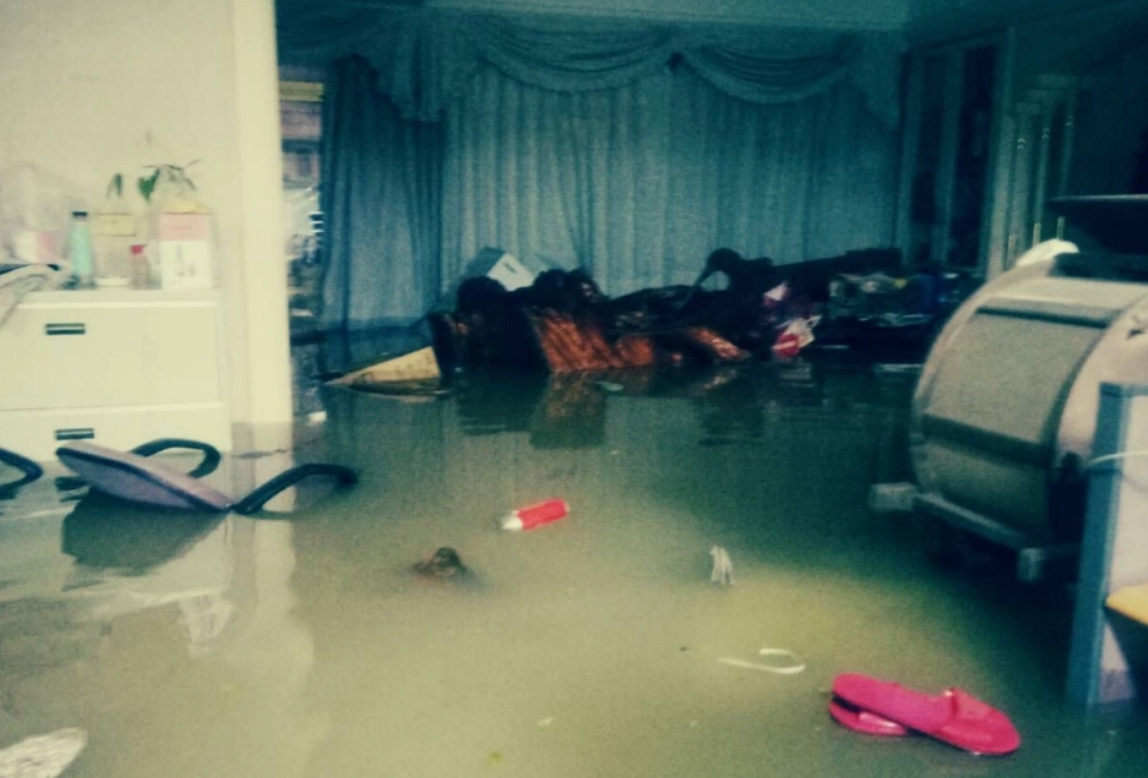 梦境解析 梦境解析