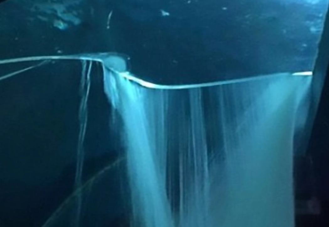 夢到魚缸破掉解夢