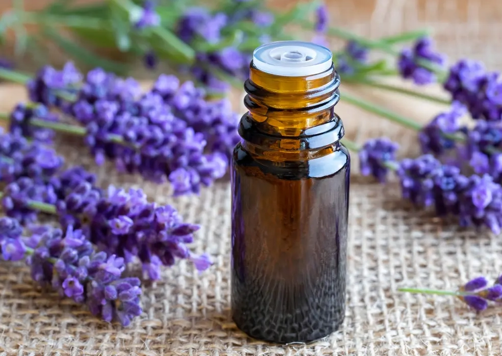 狗狗 薰衣草 精油