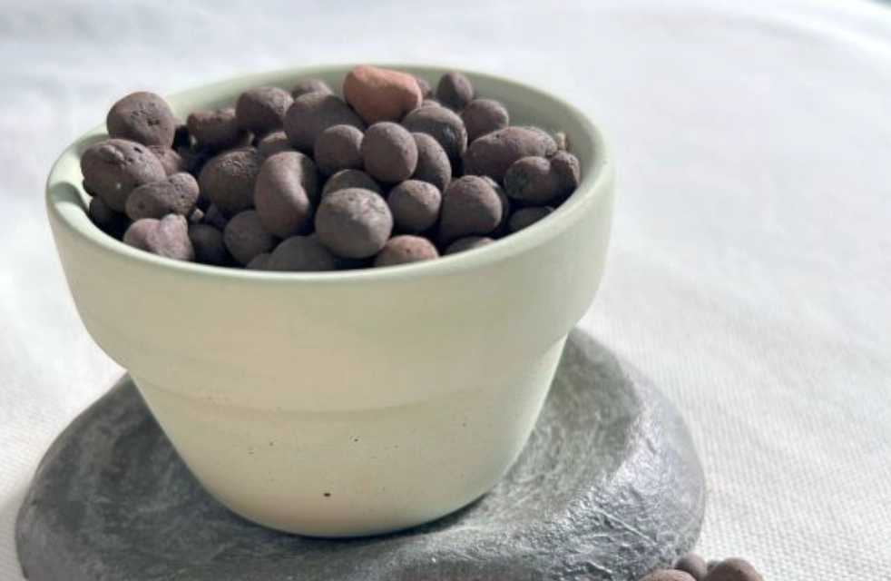 盆栽排水層 盆栽排水層