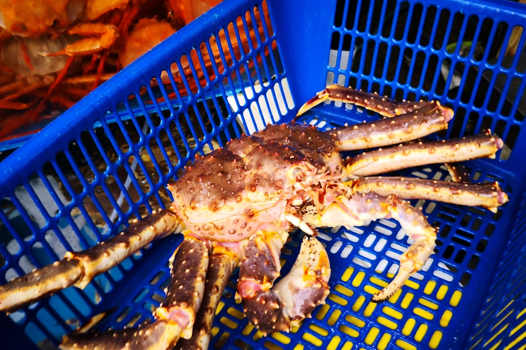 釜山帝王蟹餐廳 釜山帝王蟹餐廳