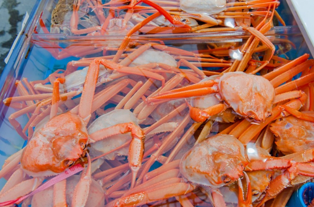 機張市場帝王蟹 機張市場帝王蟹