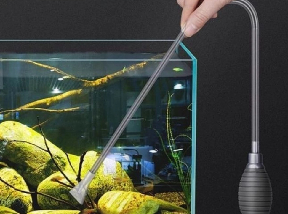 魚缸換水 夢境解析