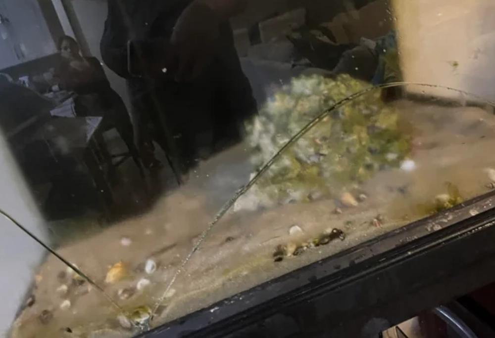 夢到魚缸破掉解夢