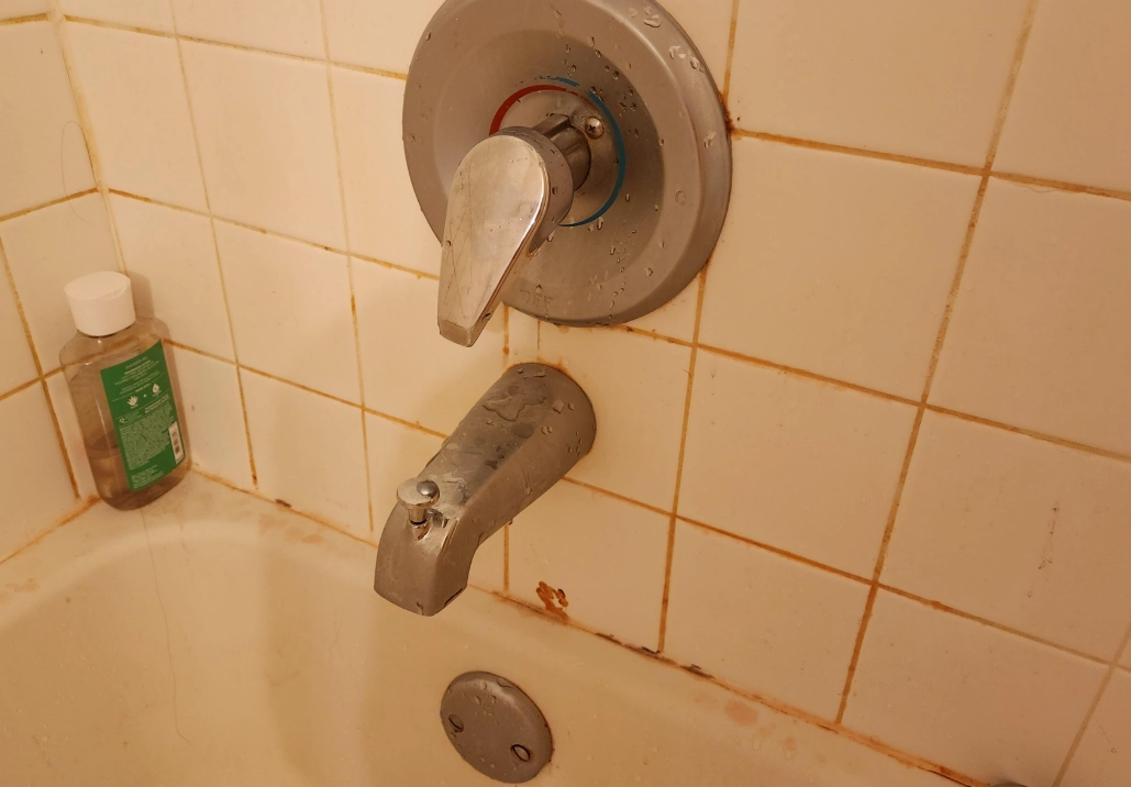 浴室紅色黴菌去除 浴室紅色黴菌去除