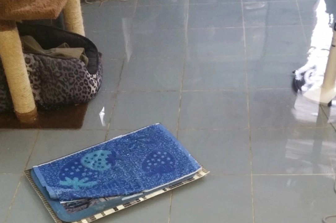 心理象征 心理象征