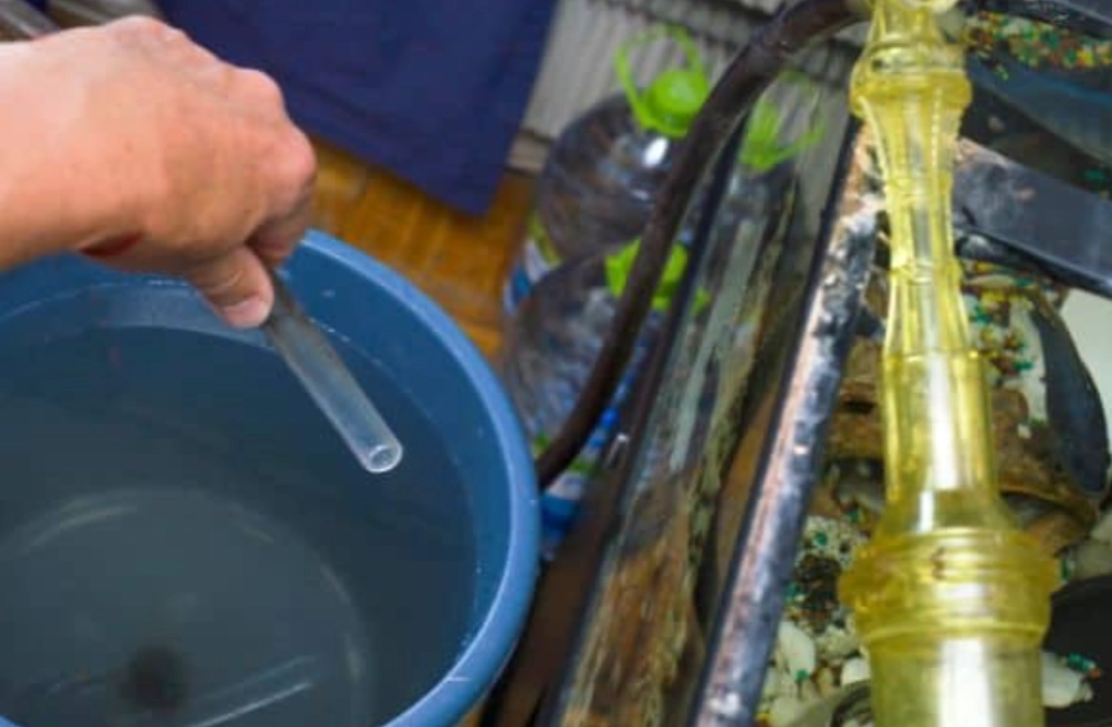 夢到魚缸換水 周公解夢