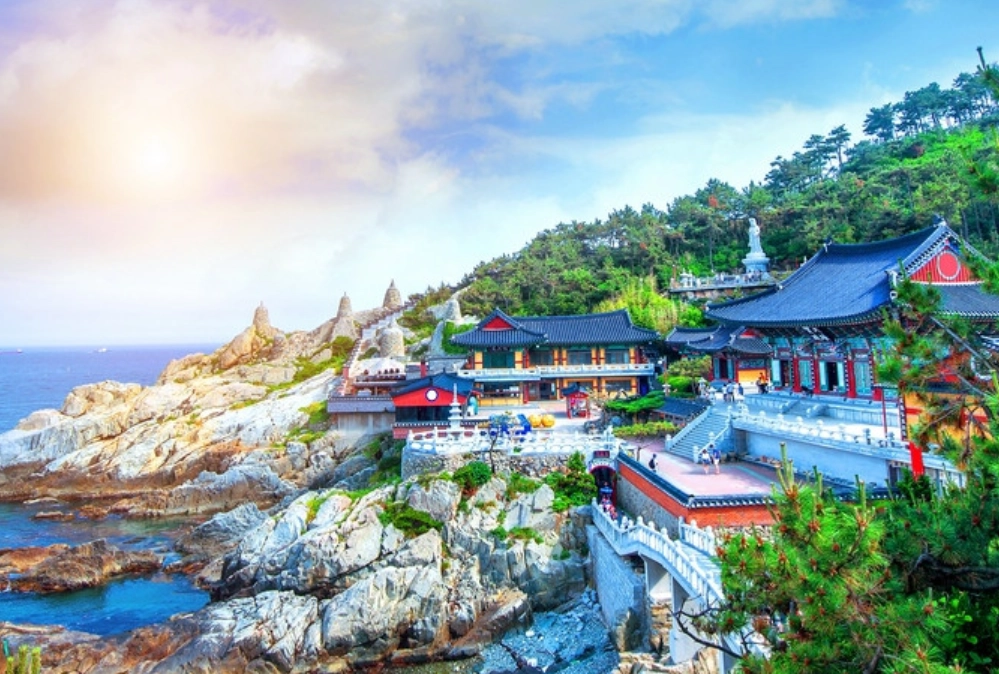 帝王蟹價格 帝王蟹價格