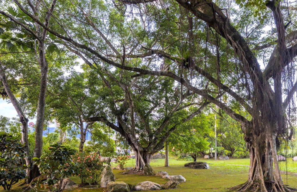 鳳林景點 鳳林景點