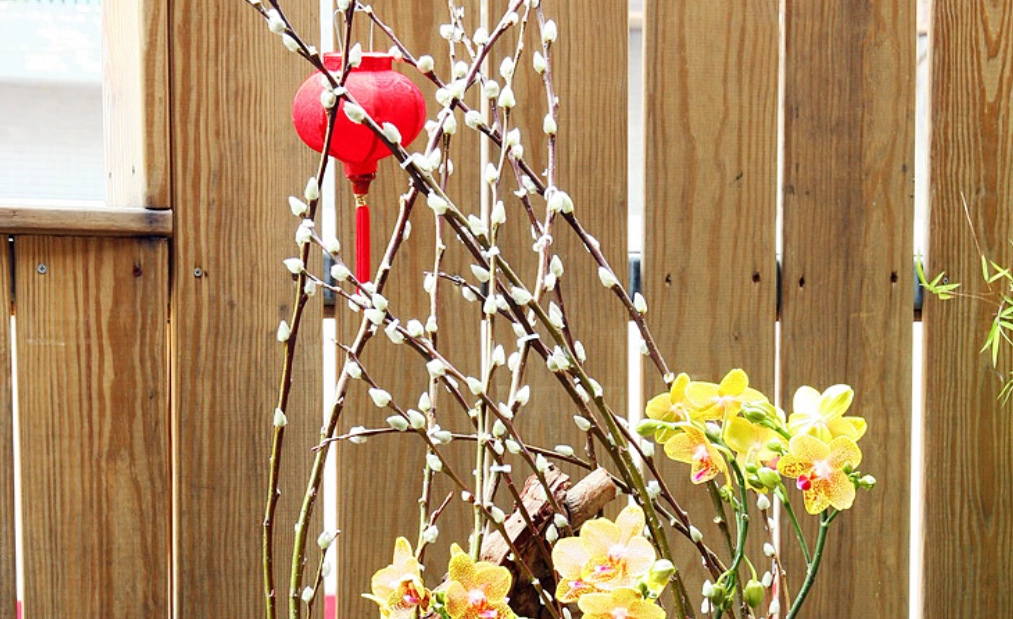 銀柳乾燥花製作