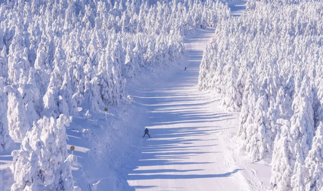 東北行程安排 東北行程安排