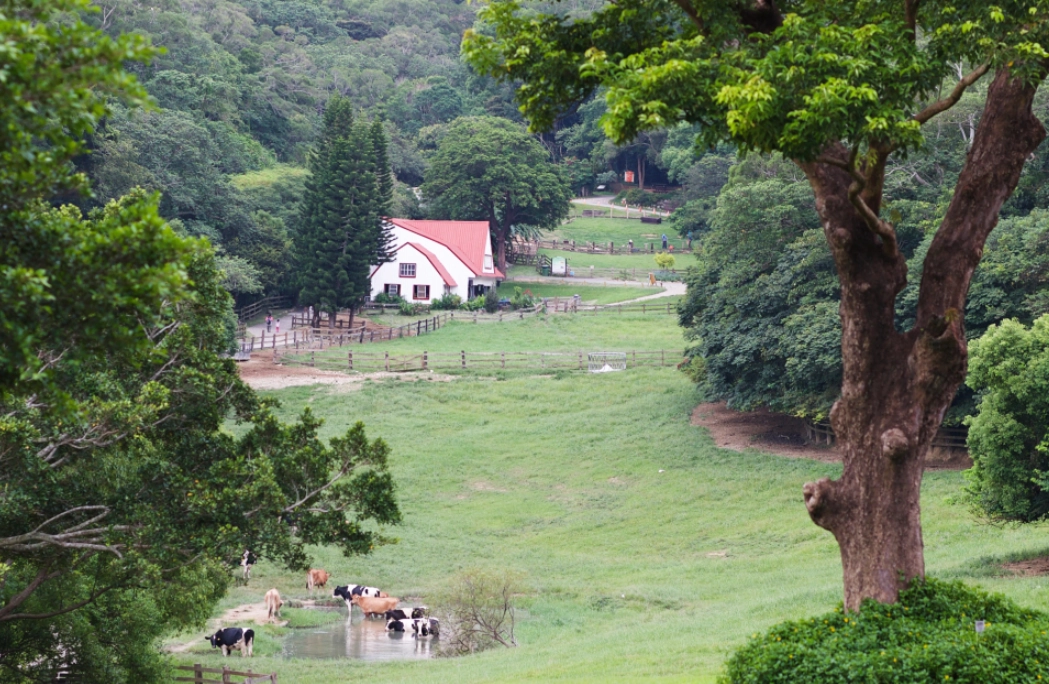 情侶旅遊苗栗 情侶旅遊苗栗