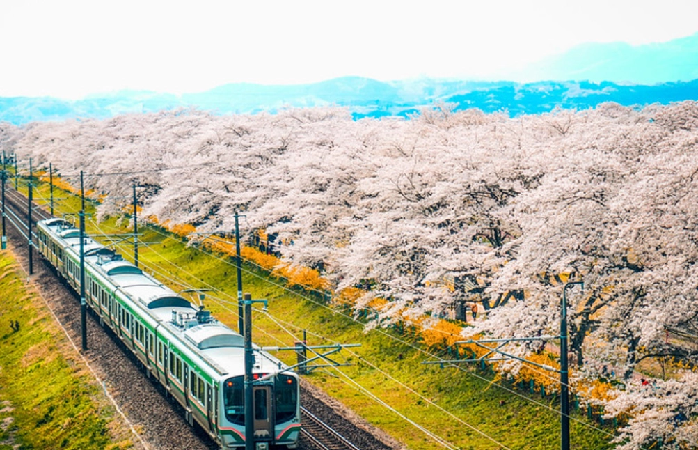 日本自由行攻略