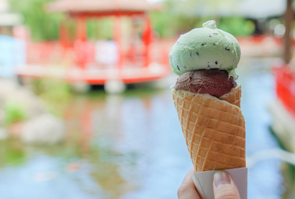 花蓮糖廠交通 花蓮糖廠交通