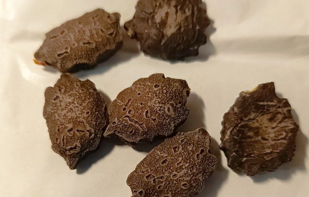 木鱉果公母分辨