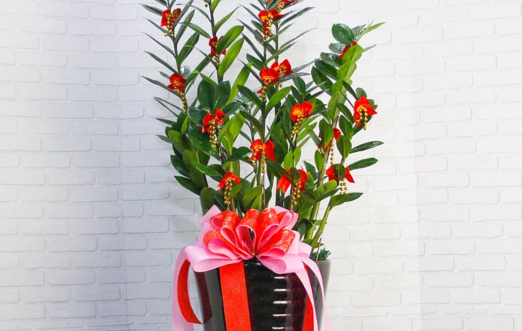 盆栽修剪技巧 盆栽修剪技巧