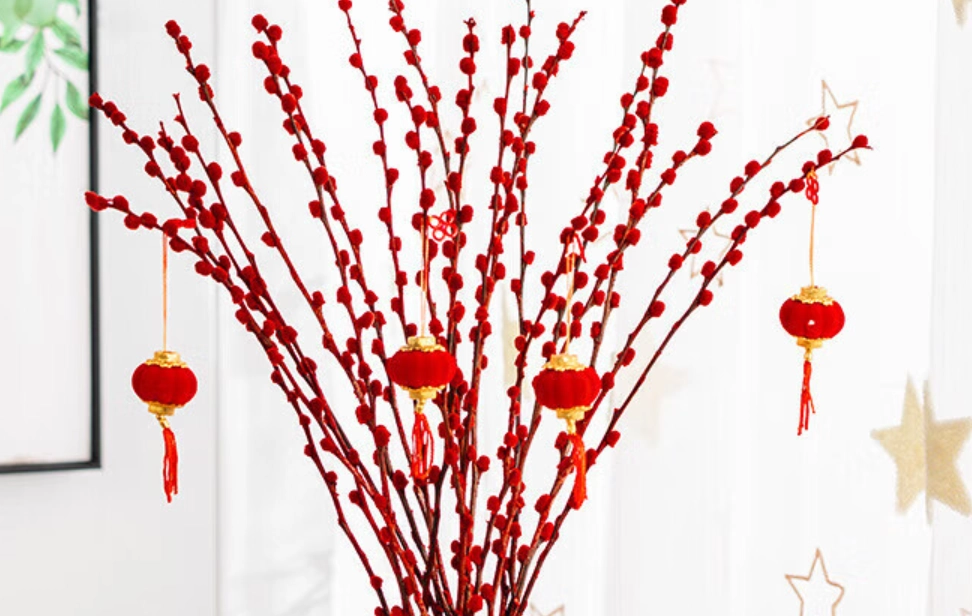 銀柳養護 銀柳養護