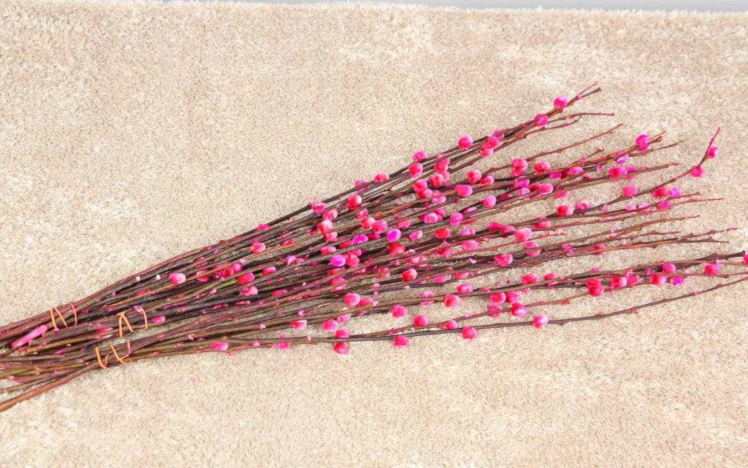 銀柳乾燥花製作