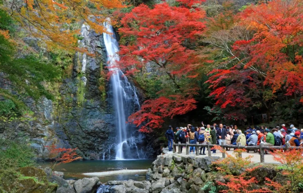 大阪自駕遊景點 大阪自駕遊景點
