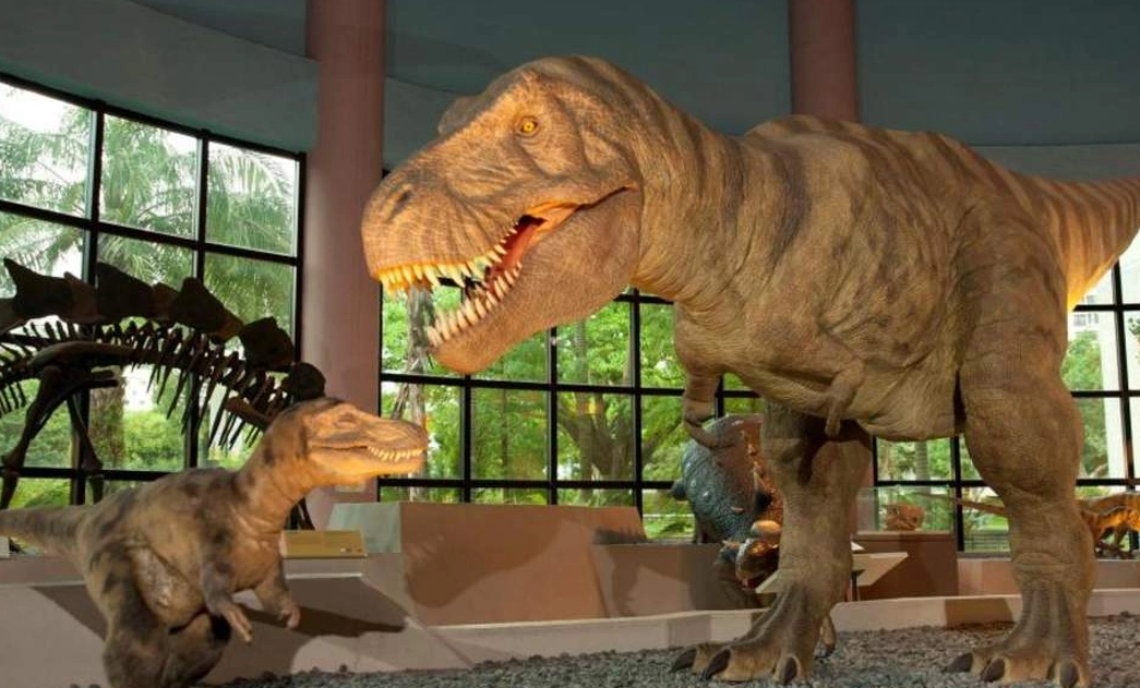 台中親子動物園