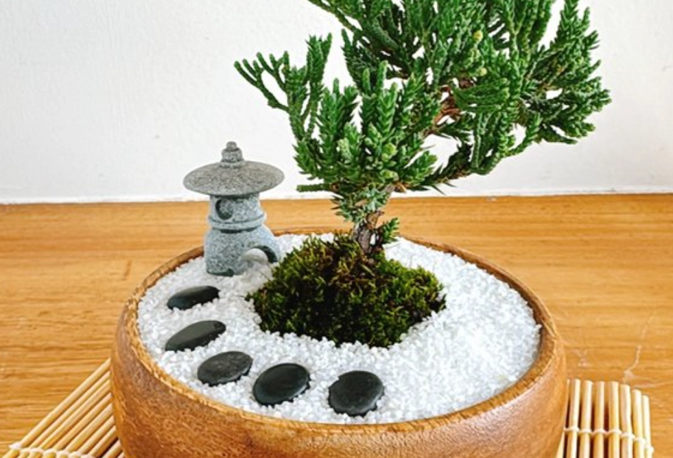 松柏風水 松柏風水